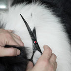 Dog Grooming Scissors Kit, Fcysy Professional Pet Hair Cutting Shears Set with Curved & Straight Blades Scissors Thinning Shears– Stainless Steel Grooming Tools for Dogs & Cats at Home