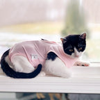 DOTON Cat Recovery Suit for Male and Female Surgical Post Surgery Soft Cone Onesie Shirt Clothes Neuter Licking Protective Diapers Outfit Cover Kitten Spay Collar(S, Pink)