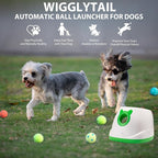 Automatic Ball Launcher for Dogs, Dog Fetch Ball Thrower Launcher, 4 Adjustable Distances, Interactive Pet Self Playing for Small Dogs and Puppies with 10 Balls (2 inches)