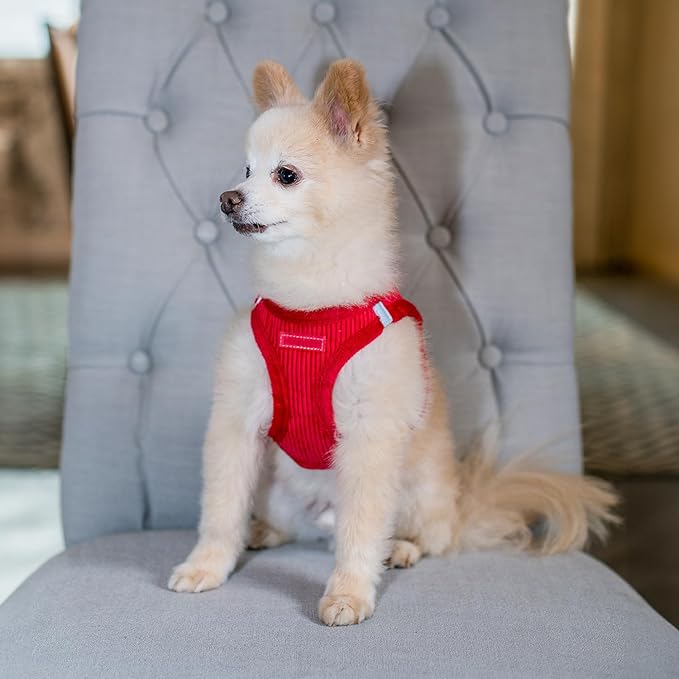 Voyager Step-In Plush Dog Harness – Soft Plush, Step In Vest Harness for Small and Medium Dogs by Best Pet Supplies - Harness (Red Corduroy), M (Chest: 16 - 18")