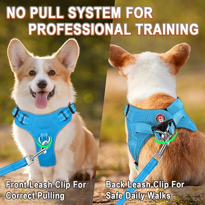 Dog Harness Step in Dog Vest Harness, Reflective Adjustable Puppy No Pull Harness Breathable Soft for Small and Medium Dogs Cats, Blue, S