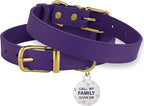 BRONZEDOG Leather Dog Collar with Metal Buckle Durable Basic Pet Collars for Small Medium Large Dogs (13-16 Inch (Pack of 1), Purple & Gold Buckle)