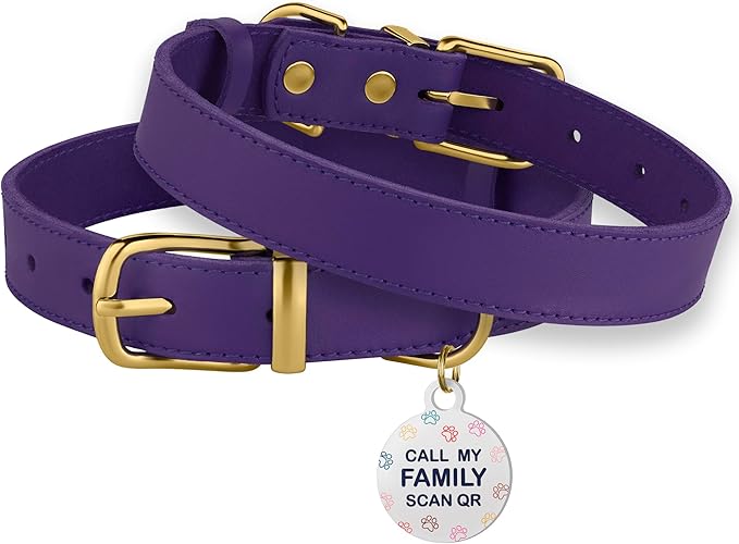 BRONZEDOG Leather Dog Collar with Metal Buckle Durable Basic Pet Collars for Small Medium Large Dogs (19-21 Inch (Pack of 1), Purple & Gold Buckle)