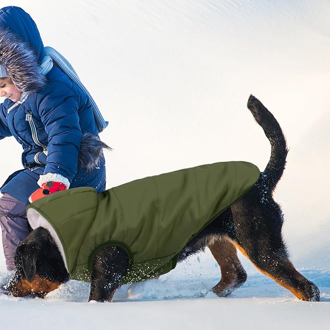 Fleece Hoodie, Windproof Waterproof Coat, Winter Warm Jacket, Cold Weather Pet Apparel Clothes Vest for Small Medium Large Dogs (XS, Green)