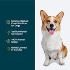 JustFoodForDogs Pantry Fresh Wet Dog Food, Complete Meal or Dog Food Topper, Turkey & Whole Wheat Macaroni Human Grade Dog Food Recipe - 12.5 oz (Pack of 6)