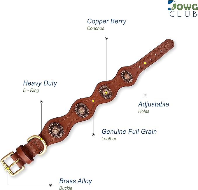 Leather Collar with Scalloped Edges for Medium Dogs | Genuine, Hand Tooled, Hand Carved, Full Grain, Heavy Duty, Comfortable (Medium (Fit Neck Size 14.5"-18.5"), Brown-Scalloped Edges)