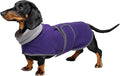 Geyecete Dachshund Sweaters for Dogs Jacket,Dachshund Coat Perfect Dog Winter Coat with Padded Fleece Lining,high Collar,Dog Snowsuit-Purple-XS