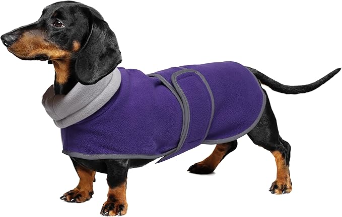 Geyecete Dachshund Sweaters for Dogs Jacket,Dachshund Coat Perfect Dog Winter Coat with Padded Fleece Lining,high Collar,Dog Snowsuit-Purple-S