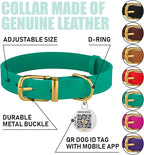 BRONZEDOG Leather Dog Collar with Metal Buckle Durable Basic Pet Collars for Small Medium Large Dogs (14-17 Inch (Pack of 1), Green & Gold Buckle)