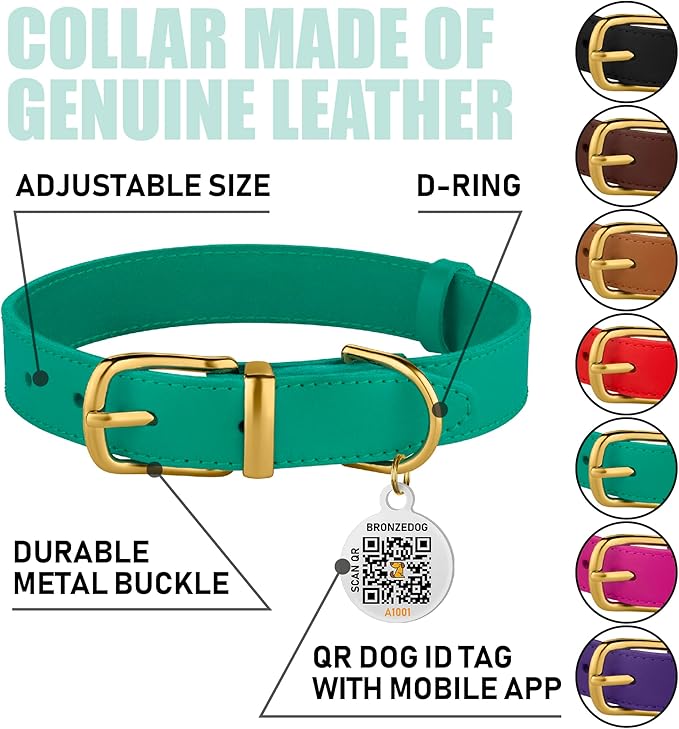 BRONZEDOG Leather Dog Collar with Metal Buckle Durable Basic Pet Collars for Small Medium Large Dogs (13-16 Inch (Pack of 1), Green & Gold Buckle)
