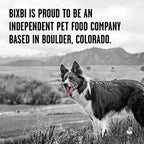 BIXBI Rawbble Freeze Dried Dog Food, Lamb Recipe, 4.5 oz - 97% Meat and Organs, No Fillers - Pantry-Friendly Raw Dog Food for Meal, Treat or Food Topper - USA Made in Small Batches