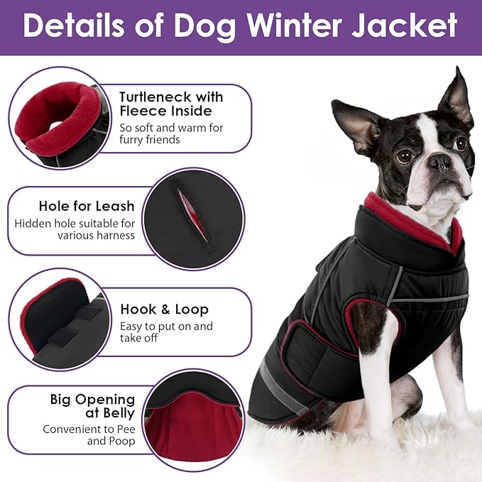 SUNFURA Dog Coat, Warm Dog Jacket for Small Dogs, Reflective Winter Coat with Fleece Lined, Windproof Pet Snowsuit Puppy Sweater Clothes, Black XS