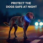 Light Up Dog Collar, Adjustable USB Rechargeable Glow in Dark Dog Collar ，Waterproof Dog Collars for Large Dogs (Blue, Large)