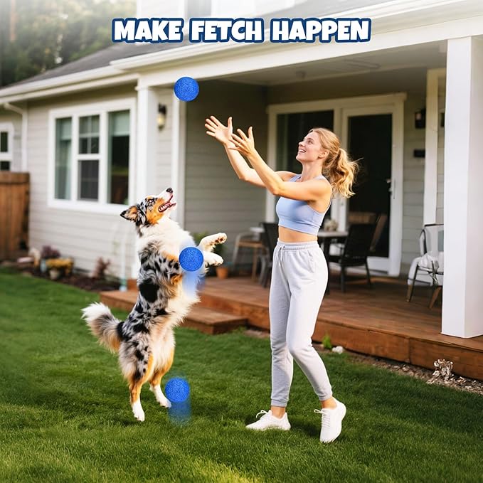 petizer 6 Pack 2.5’’ Dog Balls, Tough Dog Toys for Aggressive Chewers, Interactive Ball for Fetch Game, Lightweight Floating Toy, Durable Bouncy High Elasticity E-TPU Teething Chew Toys