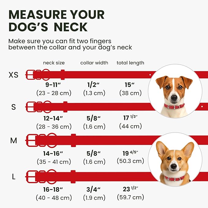 BRONZEDOG Rolled Leather Dog Collar for Small Medium Large Dogs with QR ID Tag (M: 14-16 Inch, Scarlet Red)