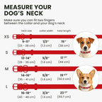 BRONZEDOG Rolled Leather Dog Collar for Small Medium Large Dogs with QR ID Tag (L: 16-18 Inch, Scarlet Red)