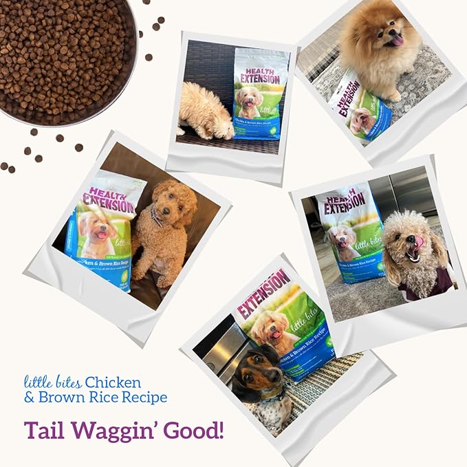 Health Extension Little Bites Dry Dog Food for Toy and Small Breeds, Chicken & Brown Rice Recipe, with Probiotics & Superfoods for Digestion & Coat Health, 30 lb Bag (Pack of 1)