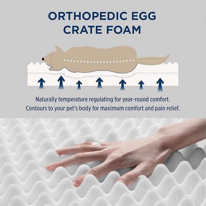 Bedsure Dog Beds Large Sized Dog - Comfy Flat Pet Beds with Removable Washable Cover, Orthopedic Egg Crate Foam Puppy Mat, Suitable for Pet Up to 65 lbs