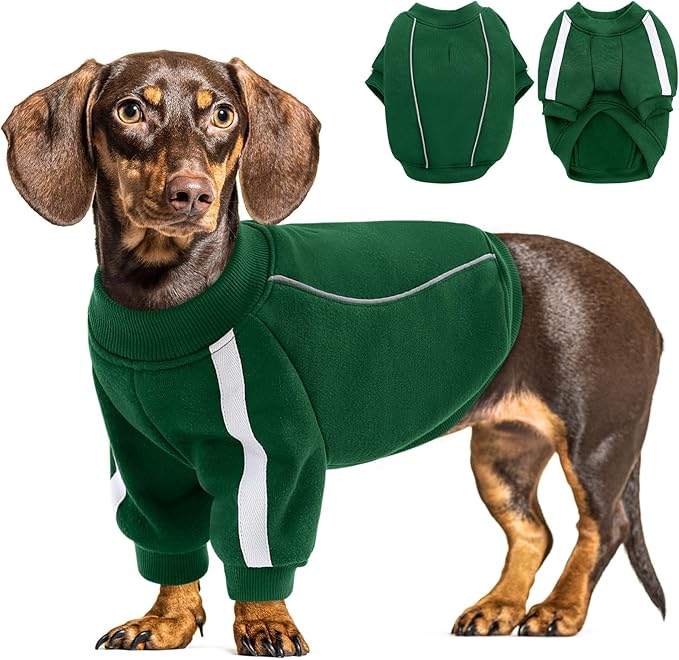 Queenmore Medium Christmas Dog Sweater, Cozy Fleece Dog Sweatshirt, Warm Winter Fleece Jacket for Small, Medium & Large Dogs with Leash Hole/Reflective Stripes Green