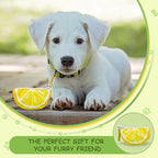 Lemon Shape Dog Poop Bag Holder and Carrier - Leash Attachment Poo Bag Dispenser with Stylish Cute Design,Lemon,Medium