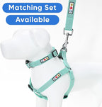 Pawtitas 6 FT Dog Leash - Reflective, Comfortable Handle, Heavy Duty Training Leash, Small Dog, Teal