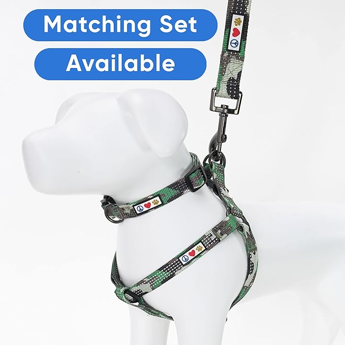 Pawtitas 6 FT Puppy Dog Leash - Comfortable Handle, Highly Reflective, Heavy Duty Training Leash - Available in Small, Camo Green