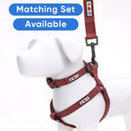 Pawtitas Personalized Dog Leash Embroidered Customize with Your Pet Name & Phone Number Puppy 6 ft Long Small Brown Custom Engraved Name, Customized XS/S (Pack of 1)