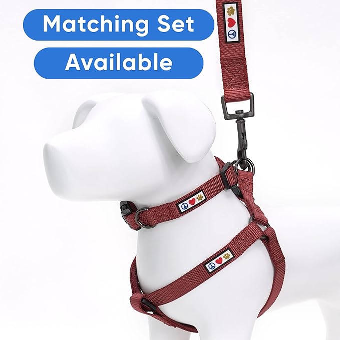 Pawtitas Personalized Dog Leash, 6 ft Long, Brown, Extra Small, Embroidered with Pet Name & Phone Number