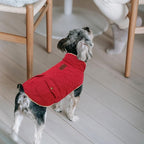 Queenmore Warm Dog Coat, Cold Weather Puffer Dog Jacket Ultra Thick Plush Lining with Storage Pockets (Red, Small)