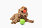 Jolly Pets Mini Jolly Soccer Ball; Floating-Bouncing Dog Toy; 4" Ocean Blue