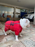 Dogs Waterproof Jacket, Lightweight Waterproof Jacket Reflective Safety Dog Raincoat Windproof Snow-Proof Dog Vest for Pugs English French Bulldog American Pit Bull Red B-M