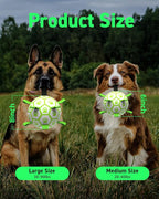 QDAN Premium Glow in The Dark Dog Toys, Dog Ball with Straps, Soccer Ball for Dogs, Outdoor Dog Toys, Pet Birthday Toys, Puppy Essentials for Small to Medium (6Inch)