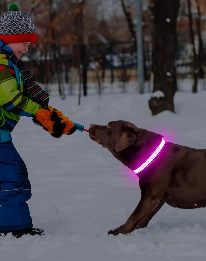 Weesiber Light Up Dog Collar - LED Dog Collar Rechargeable Glow in The Dark Pet Collar, Reflective Safety Dog Lights for Night Walking(Pink, L)