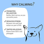 Spot & Tango Calming Supplements for Dogs - Vet-Approved for Anxiety and Stress Relief - L-Theanine, Passionflower, Ashwagandha, Chamomile - Flavored with Real Pineapple, 56 Count