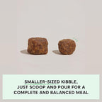 Open Farm, Grain-Free Dry Dog Food for Small Breeds, High-Protein Kibble, Sustainably & Ethically Sourced Ingredients, Non-GMO Veggies & Superfoods, Chicken & Turkey Recipe for Small Dogs, 4lb Bag