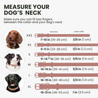 BronzeDog Rolled Leather Dog Collar with QR ID Tag, Adjustable Soft Round Collars for Small Medium Large Dogs Puppy (14" - 16" Neck Size, Blush)