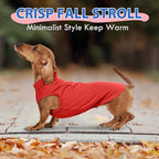 Fleece Vest Sweater for Small Dogs - Red, S - Stretchable Shirt | Soft Lightweight Sweatershirt,Fall Winter Jackets Keep Warm,Pullover Design,Home Pet Clothing,Shih Tzu