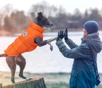 Kuoser Dog Coat Puffer Vest, Warm Dog Jacket Windproof Dogs Cold Weather Coats Pet Snowsuit Padded Vests, Lightweight Puppy Winter Clothes for Small Dogs, Button Design, Easy On/Off, Orange S