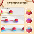 Interactive Cat Toy Ball, 2025 Upgraded Cat Toys for Bored Indoor Adult Cats, Self Rolling Interactive Dog Ball Toy, Automatic Smart Pet Toy Ball Kitten Toys (Red)