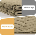 Tindbea Dog Mat for Muddy Paws,Absorbs Moisture Dirt Non-Slip Washable Mud Mat for Dogs,Soft Rubber Backing Front Inside Pet Rug for Entryway, Mud Dog Paws, Patio(24"x59",Light Taupe)