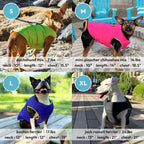 Gooby Padded Vest Dog Jacket - Solid Purple, X-Large - Warm Zip Up Vest Fleece Jacket with Dual D Ring Leash Water Resistant for Small to Medium Dogs
