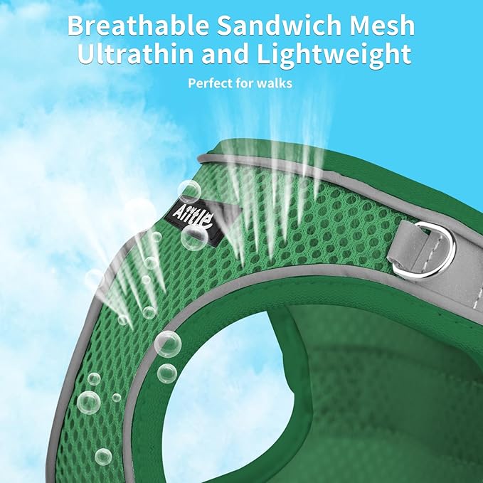 AIITLE Comfortable Dog Harness and Leash Set for Walking - Summer Step in Vest Harness,Reflective Bands, Adjustable No Pull Puppy Essentials, for Small Dogs and House Cats Green XS