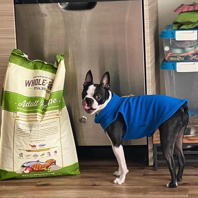Gooby Fleece Vest Dog Sweater - Deep Blue, Large - Warm Pullover Fleece Dog Jacket with O-Ring Leash for Small to Medium Dogs