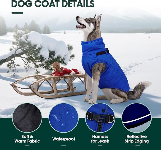 Kuoser Winter Dog Coat for Medium Dogs, Cold Weather Jacket & Vest for French Bulldog, Boston Terrier, Blue M