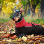 IDOMIK Dog Winter Coat, Reflective Waterproof Dog Jacket for Cold Weather, Warm Pet Coats for Small Medium Large Dogs, High Collar Doggy Fleece Snow Jacket, Winter Vest with Adjustable Buckle,3XL
