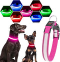 Visinite LED Dog Collar USB Rechargeable, Reflective Light Up Pet Collar for Night Walking, Adjustable Glow Collar for Small Medium Large Dogs (Pink, L)