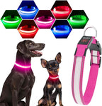 Visinite LED Dog Collar USB Rechargeable, Reflective Light Up Pet Collar for Night Walking, Adjustable Glow Collar for Small Medium Large Dogs (Pink, L)