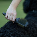 Jeffers Pet Double Sided Grooming Slicker Brush for Dogs, Cats, Puppies – Flexible Head with Stainless Steel Pins – Detangler Tool for Mats, Loose Fur, Shedding – Home or Professional Use - Small