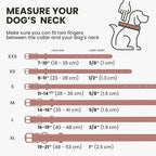 BronzeDog Rolled Leather Dog Collar with QR ID Tag, Adjustable Soft Round Collars for Small Medium Large Dogs Puppy (11" - 14 1/2" Neck Size, Blush)