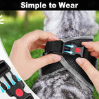 Cat Harness and Leash for Walking, Retractable Cat Harnesses and Leash Set Escape Proof, Breathable Soft Kitten Small Large Harness for Travel Training and Walking, Black, M